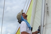 Enlarge photo 155