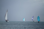 Enlarge photo 156