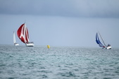 Enlarge photo 160