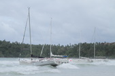 Enlarge photo 194