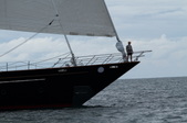 Enlarge photo 41