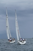 Enlarge photo 53