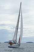 Enlarge photo 54