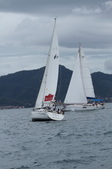 Enlarge photo 57