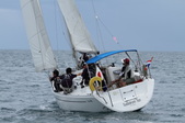 Enlarge photo 62