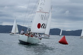 Enlarge photo 65