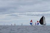 Enlarge photo 75