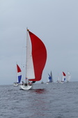 Enlarge photo 77