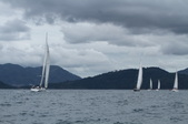 Enlarge photo 85