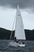 Enlarge photo 97