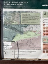 Birding Los Alamos Canyon