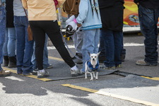 Enlarge photo 27