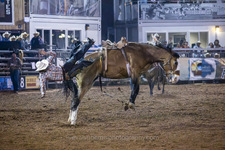 Enlarge photo 42