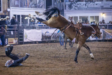 Enlarge photo 43