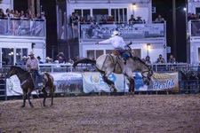 Enlarge photo 44