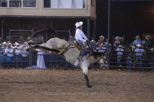 Enlarge photo 45