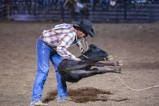 Enlarge photo 48
