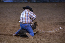 Enlarge photo 49