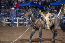 Enlarge photo 50