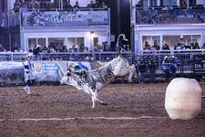 Enlarge photo 53