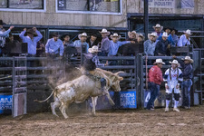 Enlarge photo 54