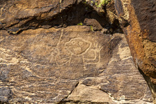 Enlarge photo 17