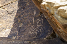 Enlarge photo 25