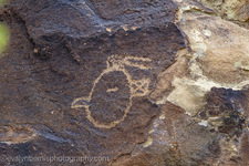 Petroglyphs and Pictographs