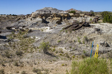 Prayer Run Chaco 2026