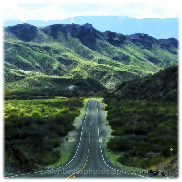 Return to Album