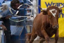 Enlarge photo 26