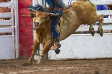 Enlarge photo 42