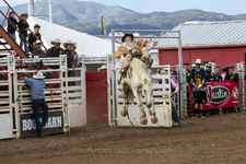 Enlarge photo 50
