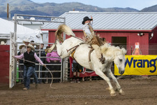 Enlarge photo 51