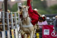 Enlarge photo 55