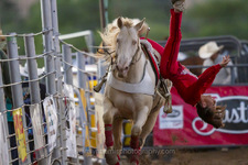 Enlarge photo 57