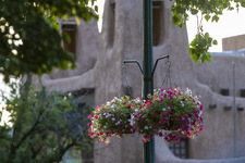 Enlarge photo 12