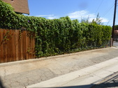 Enlarge photo 22