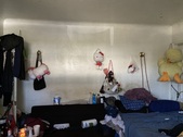 Enlarge photo 12