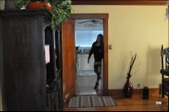 Enlarge photo 30