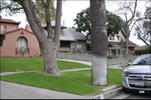 Enlarge photo 31