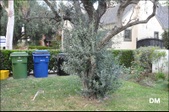Enlarge photo 29