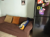 Enlarge photo 5