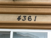 Alex's Apartment