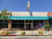 Apex Aquariums