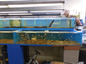 Enlarge photo 19