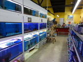 Enlarge photo 19