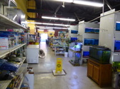 Enlarge photo 24