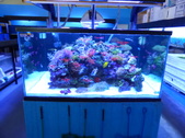 Enlarge photo 14