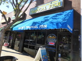 Mark's Tropical Fish